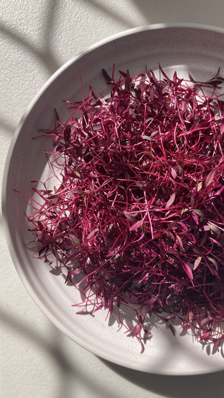 Amaranth