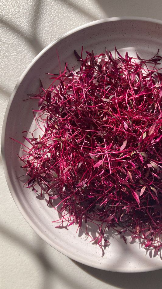 Amaranth