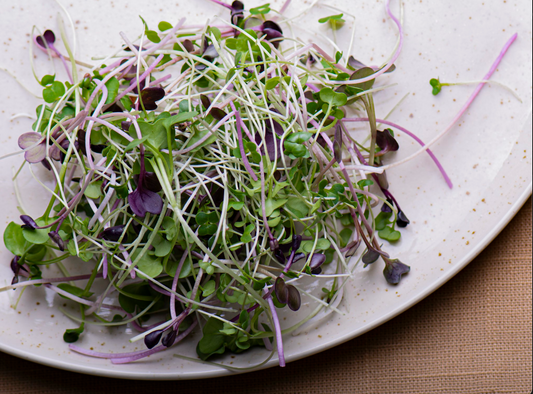 Brassica Blend