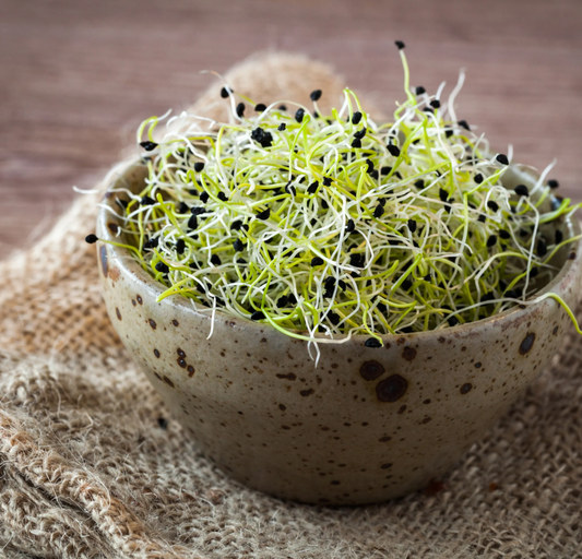 Micro Onion